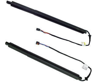 Gas Strut Spring (Left Or Right) For Discovery Sport - D2P Autoparts