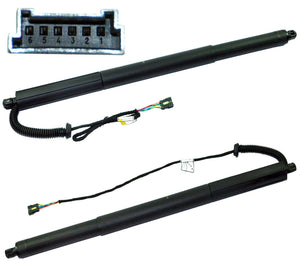 Power Lift Gas Spring Strut Tailgate (Rear Left Passenger Side) For BMW: X3, 51247232003 - D2P Autoparts