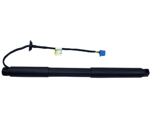 Tailgate Gas Strut (Right) For Mercedes-Benz: M-Class, 1668901130 - D2P Autoparts