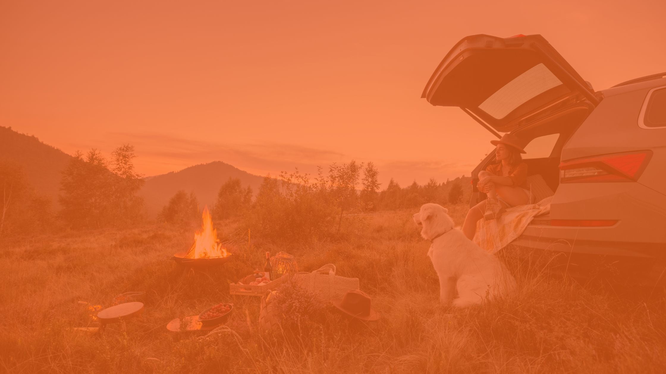 Camping Gear: Sleeping Bags & Pillows | D2P Auto Parts