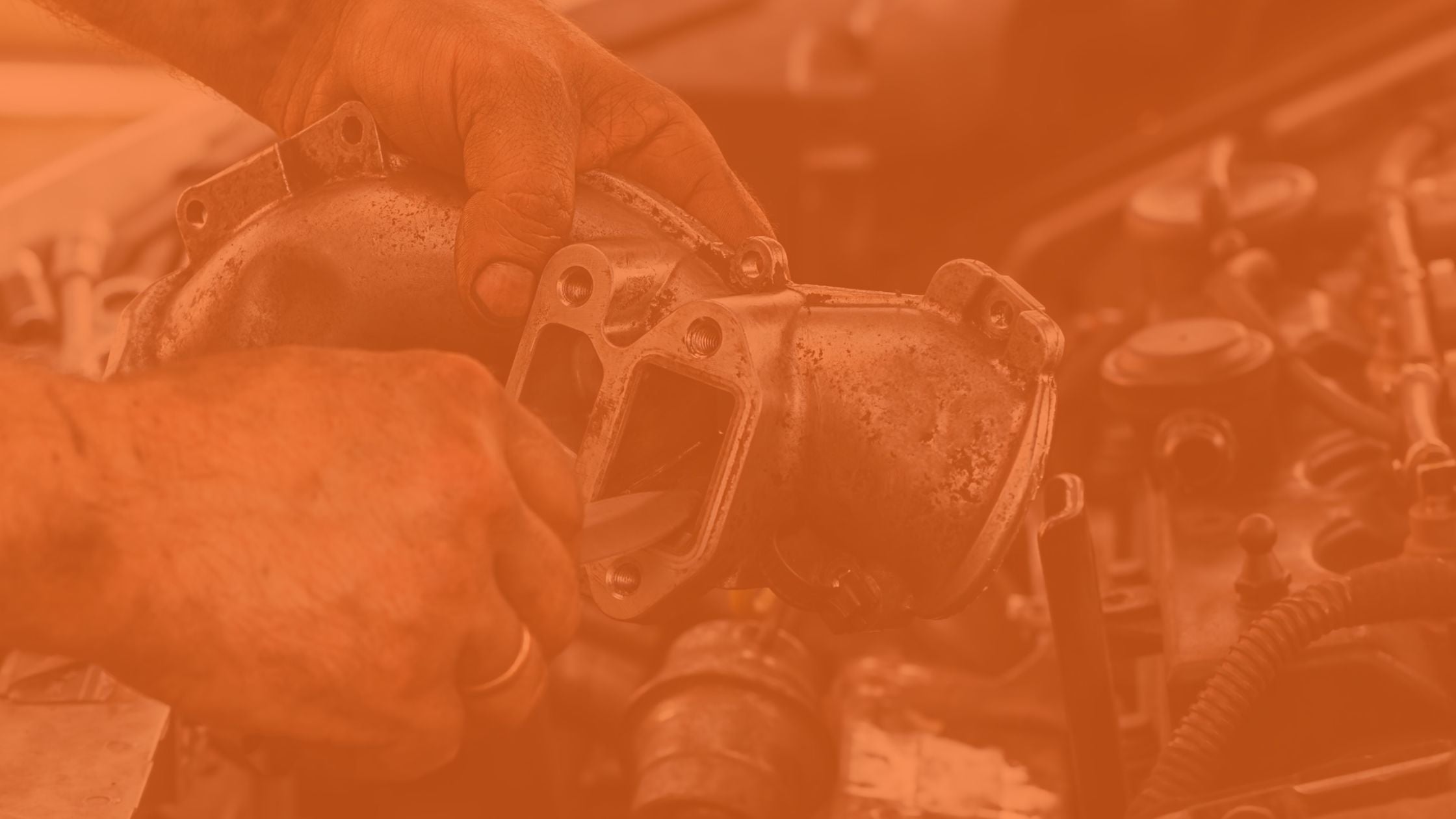 EGR Valves