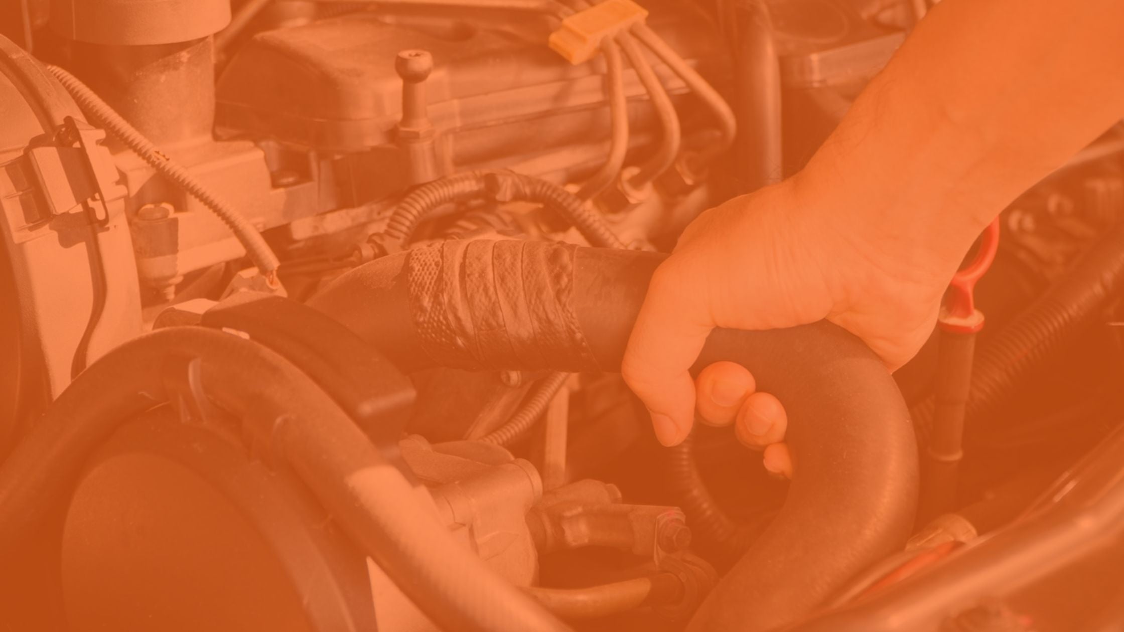 motor vehicle coolant top hose