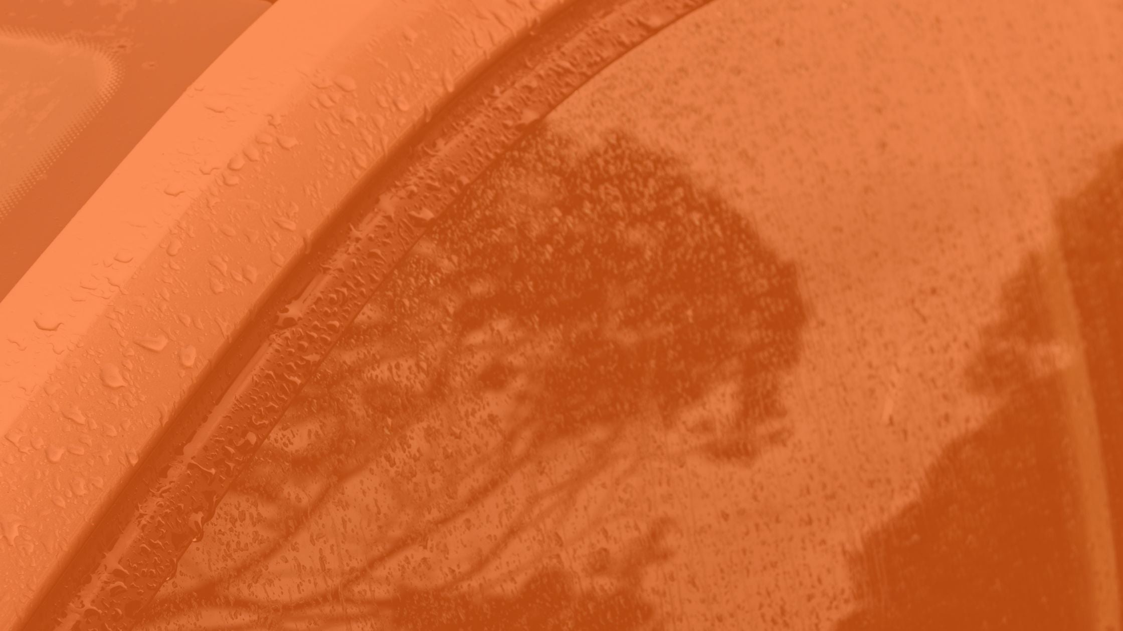 Motor Vehicle Window 