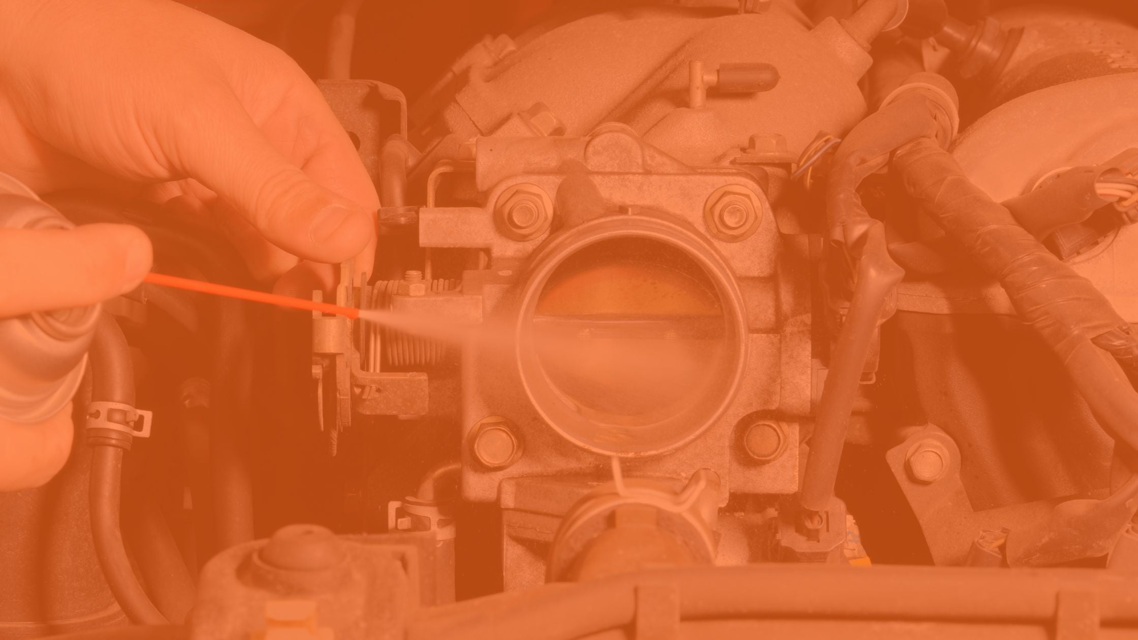 Throttle Bodies & Components