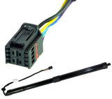 Rear Spindle Drive & Gas Strut Spring for Range Rover Sport Auto Tailgate Boot