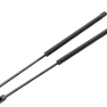 2x Tailgate Boot Trunk Gas Strut for BMW: X3
