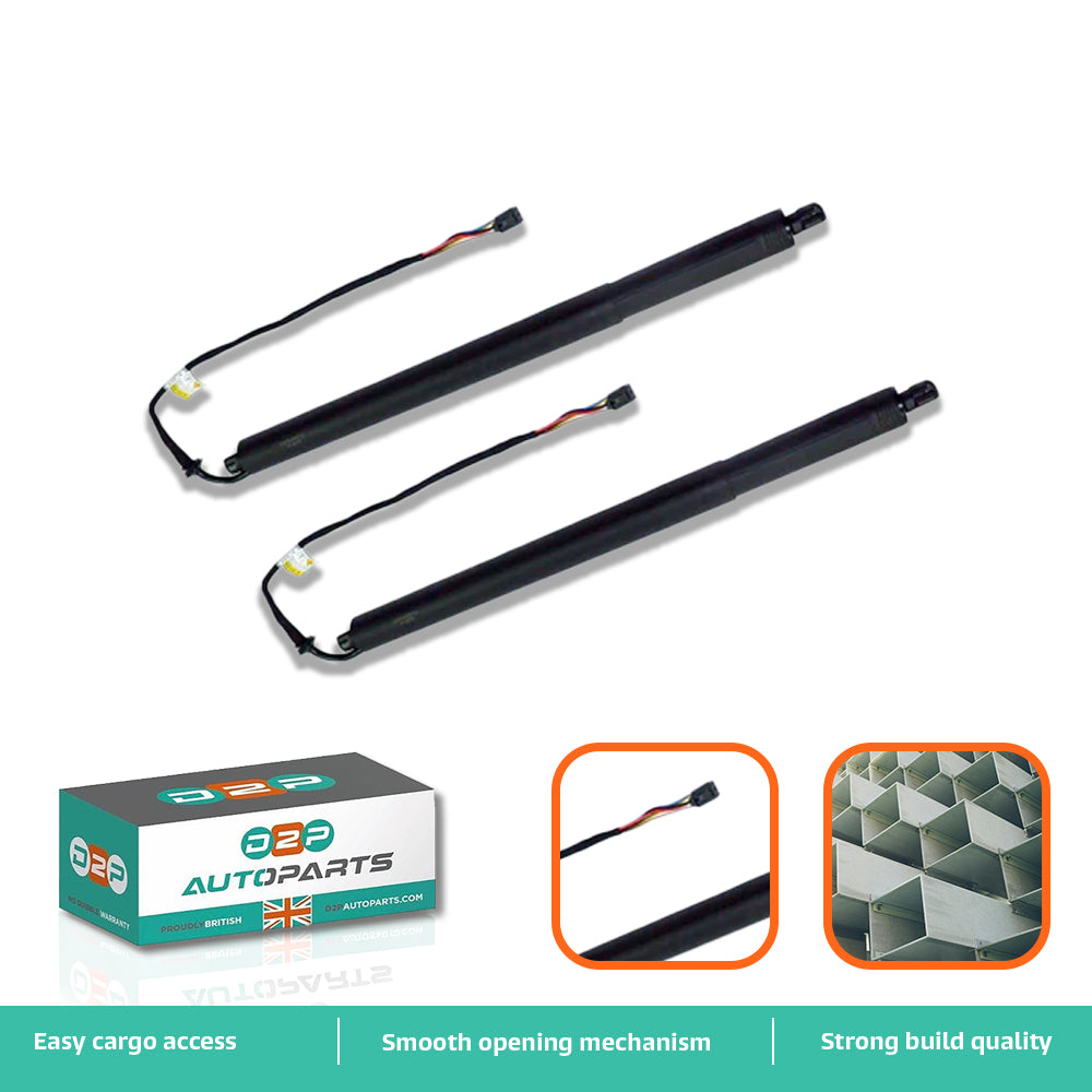 LR075420 auto powerlift tailgate struts rear left right Discovery Sport