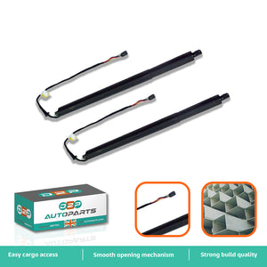 LR075420 auto powerlift tailgate struts rear left right Discovery Sport