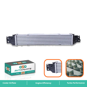Opel Antara intercooler 96629070