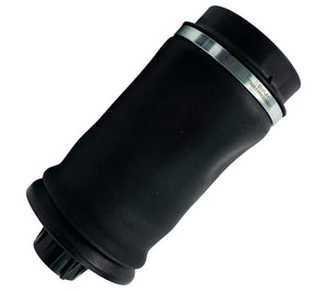 Rear Air Suspension Spring Bag Shock Strut For Mercedes - D2P Autoparts