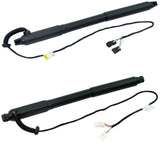 Boot Strut Gas Spindle Drives Pair (Rear Left & Right Sides) For BMW: X5, 51247332695, 51247332696 - D2P Autoparts