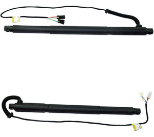 Boot Strut Tailgate Spindle Drives Pair (Rear Left & Right Sides) For Bmw - D2P Autoparts
