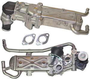 Egr Valve + Cooler ( Seals & Gaskets) For Audi/Vw/Seat/Skoda - D2P Autoparts