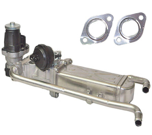 Egr Valve + Cooler ( Seals & Gaskets) For Audi/Vw/Seat/Skoda - D2P Autoparts