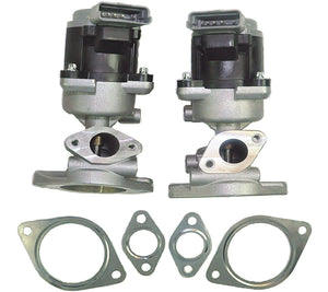 Egr Valve Pair 5 Pins (Front Left & Right Sides) For Land Rover: Discovery, Range Rover, Range Rover Sport, - D2P Autoparts