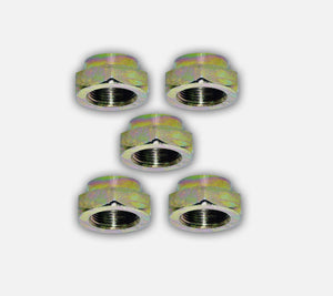 Front Hub Nut Set Of 5 For Peugeot, Citroen, Ford, Mazda, and Toyota 329714 - D2P Autoparts