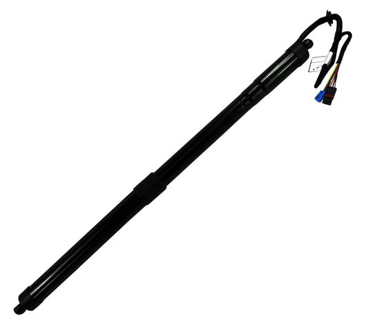 Gas Spring Strut Cargo/Boot Trunk Powerlift For Porsche Panamera (970) - D2P Autoparts