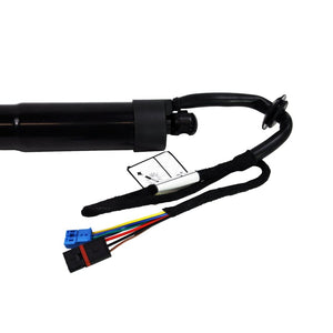 Gas Spring Struts Cargo/Boot Trunk Powerlifts Pair For Porsche Panamera - D2P Autoparts