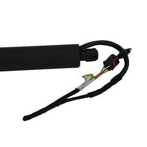 Gas Spring Tailgate Powerlift Electric Pair For Porsche Cayenne (92A) - D2P Autoparts