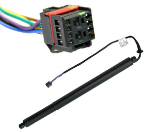 Gas Strut Spring (Left Or Right) For Discovery Sport - D2P Autoparts