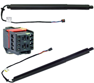 Gas Strut Spring (Left Or Right) For Discovery Sport - D2P Autoparts