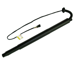 Gas Strut Spring Trunk Lift Tailgate (Rear Left Passenger Side) For BMW: X6, 51247318651 - D2P Autoparts