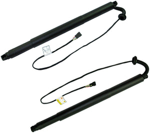 Gas Strut Spring Trunk Lift Tailgate (Rear Left Passenger Side) For BMW: X6, 51247318651 - D2P Autoparts