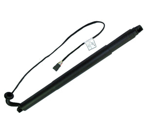 Gas Strut Spring Trunk Lift Tailgate (Rear Left Passenger Side) For BMW: X6, 51247318651 - D2P Autoparts