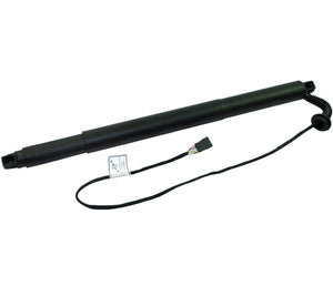 Gas Strut Spring Trunk Lift Tailgate (Rear Left Passenger Side) For BMW: X6, 51247318651 - D2P Autoparts