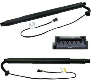 Gas Strut Spring Trunk Lift Tailgate (Rear Left Passenger Side) For BMW: X6, 51247318651 - D2P Autoparts