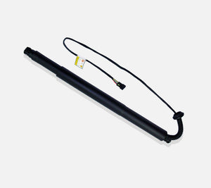 Gas Strut Spring Trunk Lift Tailgate (Rear Left Passenger Side) For BMW: X6, 51247318651 - D2P Autoparts