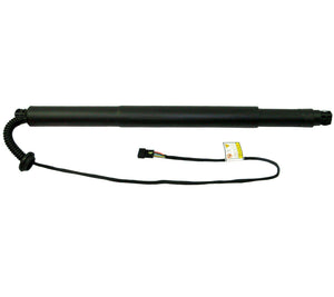 Gas Strut Spring Trunk Lift Tailgate (Rear Left Passenger Side) For BMW: X6, 51247318651 - D2P Autoparts