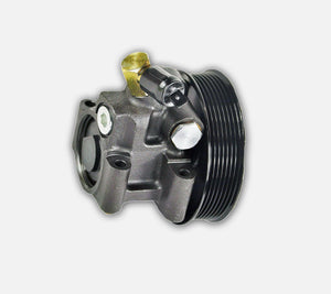 Hydraulic Power Steering Pump For Ford/Ldv - D2P Autoparts