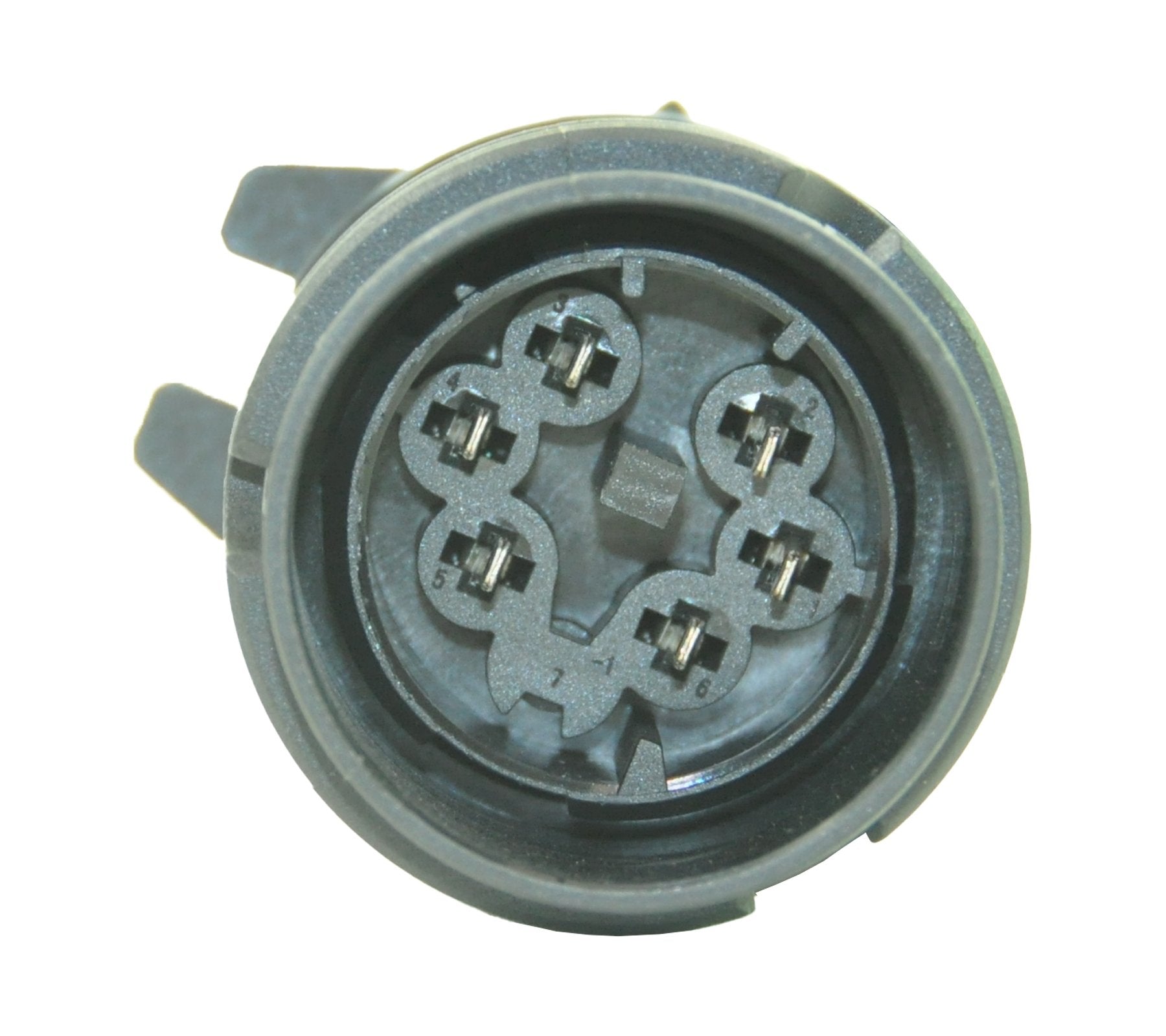 Injector Wiring Loom For VW Multivan, Phaeton, Touareg, Transporter, and Caravelle - D2P Autoparts