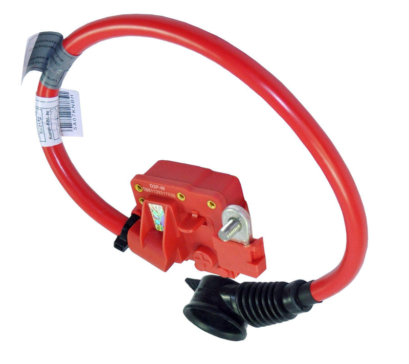 Positive Battery Cable Fuse For BMW: 1, 5, 6, and 7 Series, X5, X6, 61129217036 - D2P Autoparts