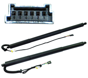 Power Lift Gas Spring Strut Tailgate (Rear Left & Right Pair) For Bmw - D2P Autoparts