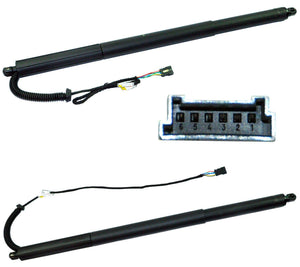 Power Lift Gas Spring Strut Tailgate (Rear Left & Right Pair) For Bmw - D2P Autoparts