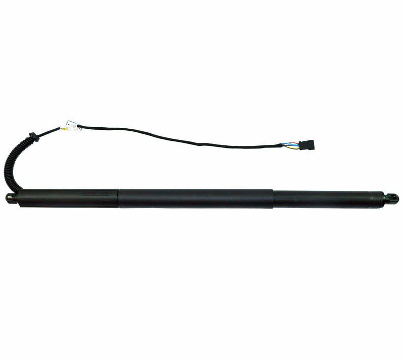 Power Lift Gas Spring Strut Tailgate (Rear Right Driver Side) For BMW: X3, 51247232004 - D2P Autoparts