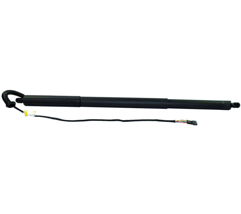 Power Lift Gas Spring Strut Tailgate (Rear Right Driver Side) For BMW: X3, 51247232004 - D2P Autoparts