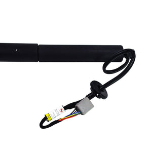 Rear Left/Right Liftgate Power Boot Lid Lift Strut For Tesla Model S - D2P Autoparts