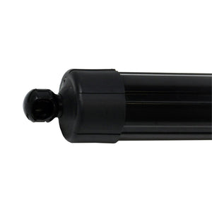 Rear Power Liftgate Support Pair For Toyota Rav4 (2013-2018) - D2P Autoparts