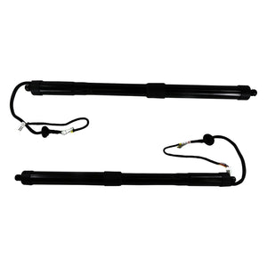 Rear Power Liftgate Support Pair For Toyota Rav4 (2013-2018) - D2P Autoparts