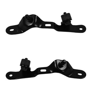 Rear Power Liftgate Support Pair For Toyota Rav4 (2013-2018) - D2P Autoparts